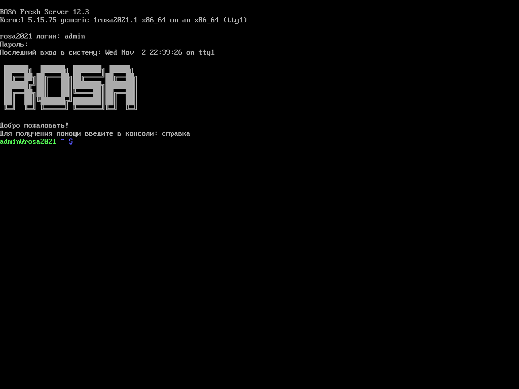 ROSA-12.3-server-tty.png