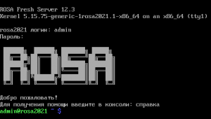 ROSA-12.3-server-tty2.png